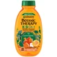 Garnier Botanic Therapy Kids, шампунь и кондиционер 2 в 1 для детей, Король Лев, 250 мл