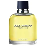 Туалетна вода Dolce & Gabbana Pour Homme, 125 мл