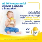 Bebiko Junior 3 Nutriflor Expert, поживна молочна суміш на основі молока, від 1 року, 700 г: ціни та характеристики