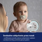 Lovi Night & Day, manechin, silicon, dinamic, arici, 6-18 luni, 2 bucăți: ціни та характеристики