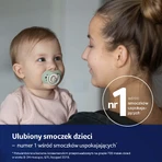 Lovi Night & Day, manechin, silicon, dinamic, arici, 6-18 luni, 2 bucăți: ціни та характеристики