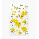 Декоративні квіткові наклейки Forsythia Appree