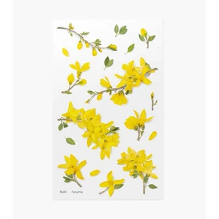 Декоративні квіткові наклейки Forsythia Appree