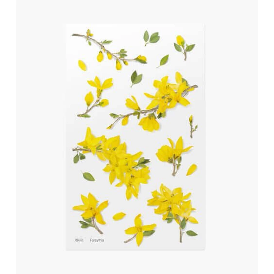 Декоративні квіткові наклейки Forsythia Appree: ціни та характеристики