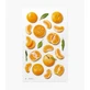 Декоративні фруктові наклейки Tangerines Appree
