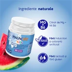 МагнеВи Кидс Sanofi MagneVie Kids, жевательные таблетки, 2 упаковки по 30 шт.: цены и характеристики