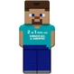 Гель для душу та шампунь 2 в 1, Minecraft Steve, 400 мл, Air Val