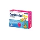 Family Health Gardłominki Plus, 24 пастилки