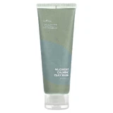 Маска для обличчя Isntree Mugwort Purifying Clay Face Mask, 100 мл