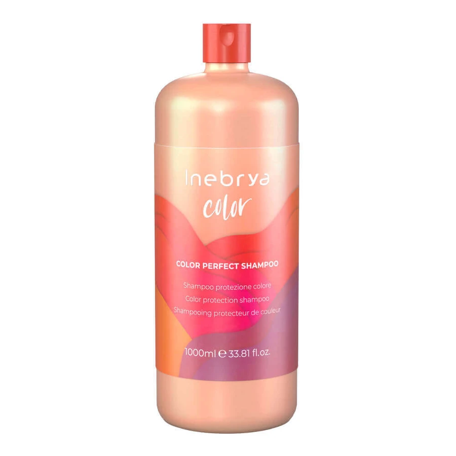 Шампунь Inebrya Color Perfect для фарбованого волосся, 1000 мл: ціни та характеристики