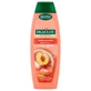 Palmolive, Hydra Balance, Шампунь, 350 мл