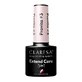 Claresa Extend Care 5in1 Provita Hybrid Base 3,5 г