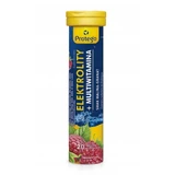 Protego Electrolytes + Multivitamin, малиново-гранатовый вкус, 20 шипучих таблеток