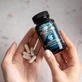 Intenson Curcumin Білий екстракт кореневища куркуми + інулін цикорію, 60 капсул