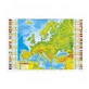 Derform Europa Physical шпоновая основа, 1 шт.