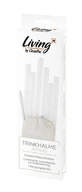 CleanPac, стеклянные трубочки, 6 штук + щеточка