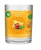 Ароматична свічка Air Wick Large Свічка декоративна Щастя 220 г