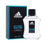Туалетная вода Adidas Ice Dive, 100 мл