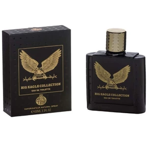 Туалетна вода Real Time Big Eagle Collection Black, 100 мл