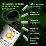 Intenson Resveratrol з споришу японського, 60 капсул: ціни та характеристики
