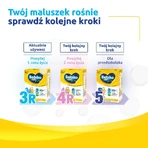 Набір Bebiko Junior 3R Nutriflor Expert, formulă nutritivă pe basă de lapte cu terci de orez, peste 1 an, 3 x 600 g + Bambino, șervețele umede, 63 gratuit: ціни та характеристики