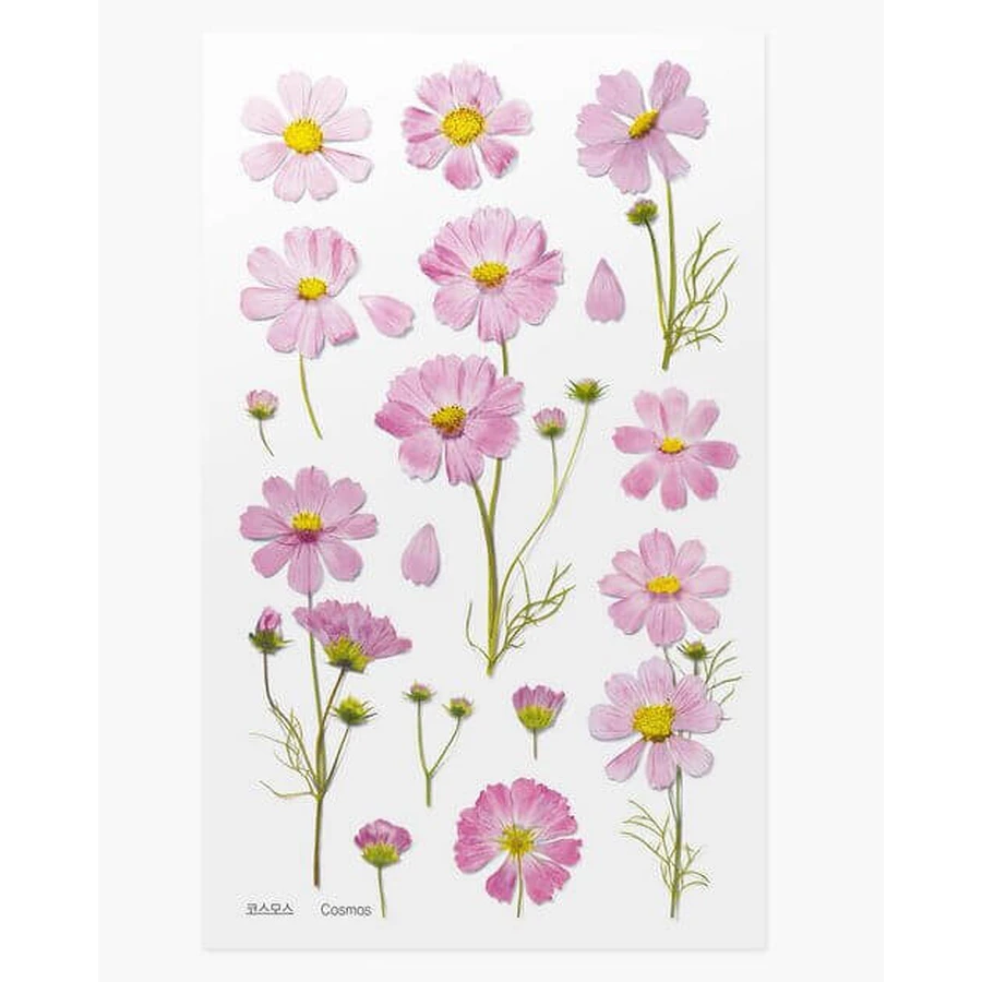 Декоративні квіткові наклейки Космос Айстра: ціни та характеристики