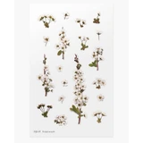 Стикер декоративный Flori Haviland