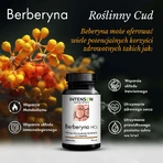 Intenson Berberine HCL, 60 табл: ціни та характеристики