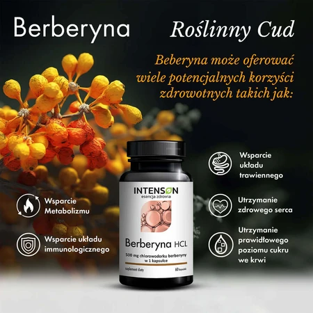 Intenson Berberine HCL, 60 табл: ціни та характеристики