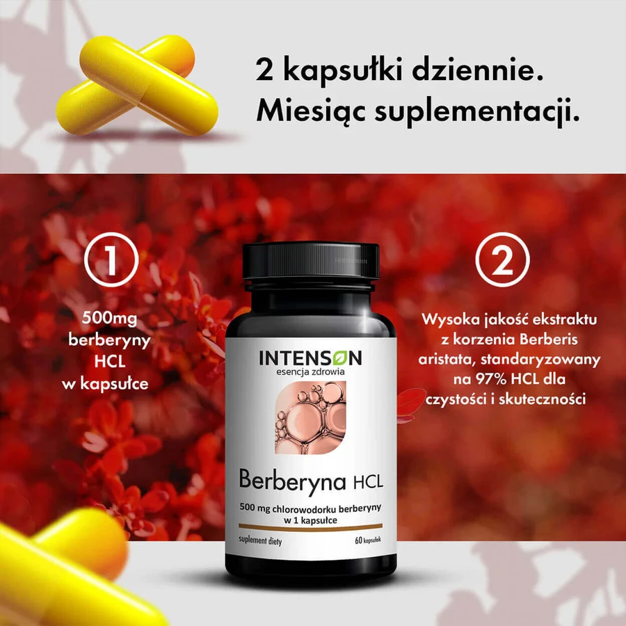Intenson Berberine HCL, 60 табл: ціни та характеристики