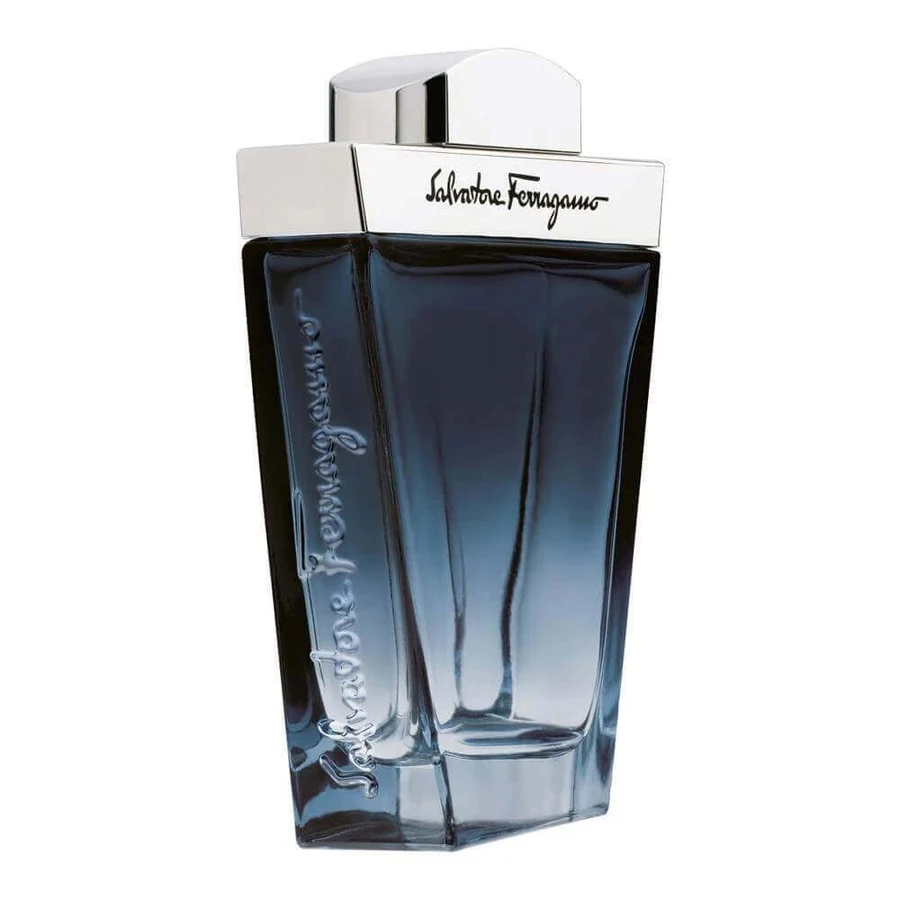 Туалетна вода Salvatore Ferragamo Subtil Pour Homme, 100 мл: ціни та характеристики