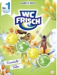 Вешалка для унитаза WC Frisch Kraft Aktiv Tulip, 50г