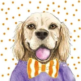 KW_ORANGE DOG пропуск