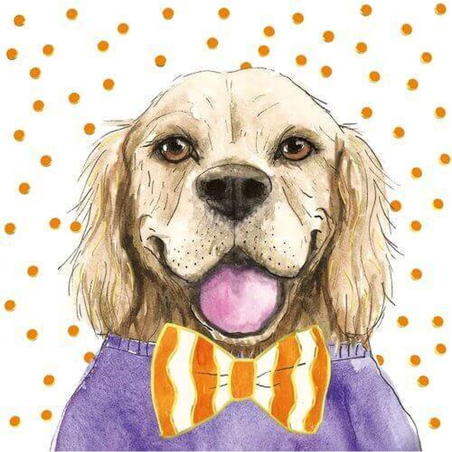 KW_ORANGE DOG пропуск: цены и характеристики