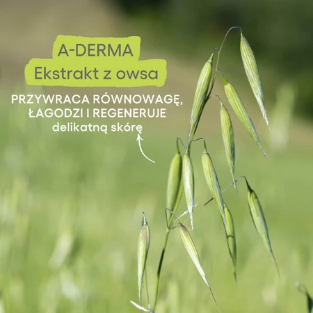 Набір A-Derma Exomega Control, лосьйон для догляду за шкірою навколо очей, що заспокоює та попереджає атопію, 500 мл + крем для догляду за шкірою навколо очей, що заспокоює та попереджає атопію, 400 мл: ціни та характеристики