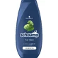 Schauma For Men Шампунь для волос, 250 мл