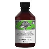 Davines Naturaltech Renewing Anti-Aging Daily Shampoo, 250 мл