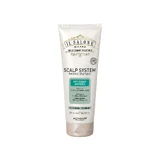 Шампунь для кожи головы Anti-Sebum System Il Salone, 250 мл, Alfaparf
