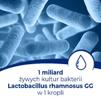 Набор Dicoflor Baby, для младенцев и детей, капли, 2 x 5 мл: цены и характеристики