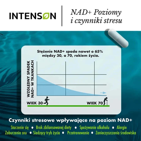 NR Никотинамида рибозид хлорид Intenson NR Nicotinamide Riboside Chloride, 30 капсул: цены и характеристики