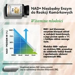 NR Никотинамида рибозид хлорид Intenson NR Nicotinamide Riboside Chloride, 30 капсул: цены и характеристики