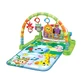 Музичний центр Jungle Friends Deluxe, 0 місяців+, Winfun