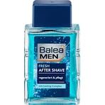 Balea MEN Після гоління FRESH, 100 мл: ціни та характеристики