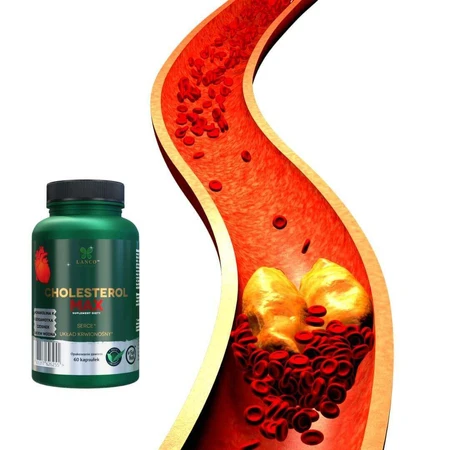 Lanco Nutritions Cholesterol Max, 60 капсул: цены и характеристики