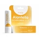 Activlab Pharma Alantella, Захисна губна помада SPF 30, 4,9 г