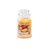 Ароматическая свеча Yankee Candle «Манго-персик сальса» в большой банке, 623 г