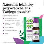 Іберогаст Баланс, пікатурі, 20 мл: ціни та характеристики