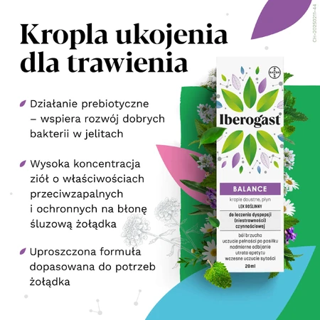 Іберогаст Баланс, пікатурі, 20 мл: ціни та характеристики