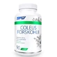 SFD Coleus Forskohlii, 90 табл