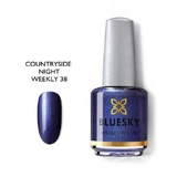 Лак для нігтів Bluesky Countrys Night 15мл